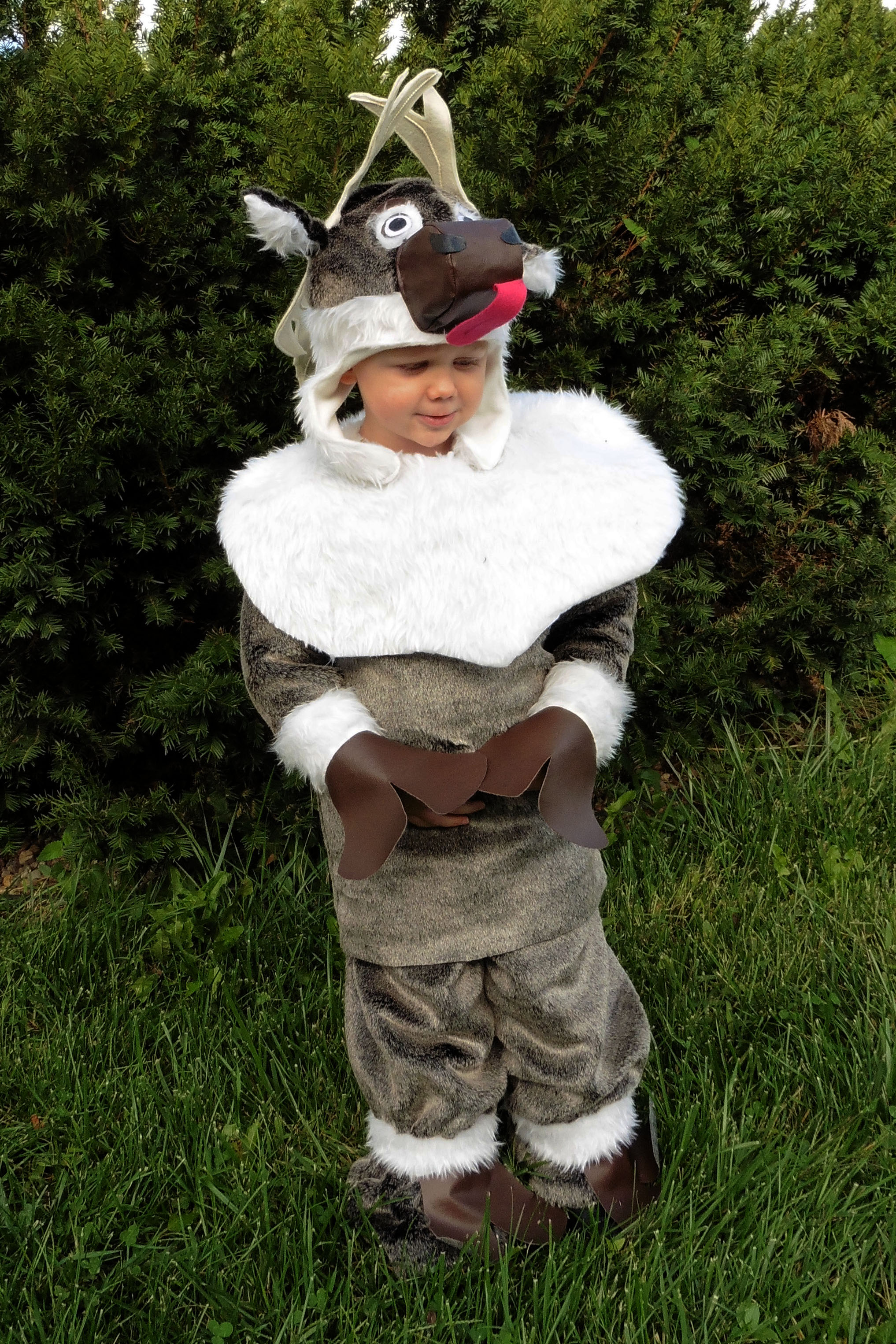 Disney Frozen Kid's/Toddler Boy's Sven Costume 